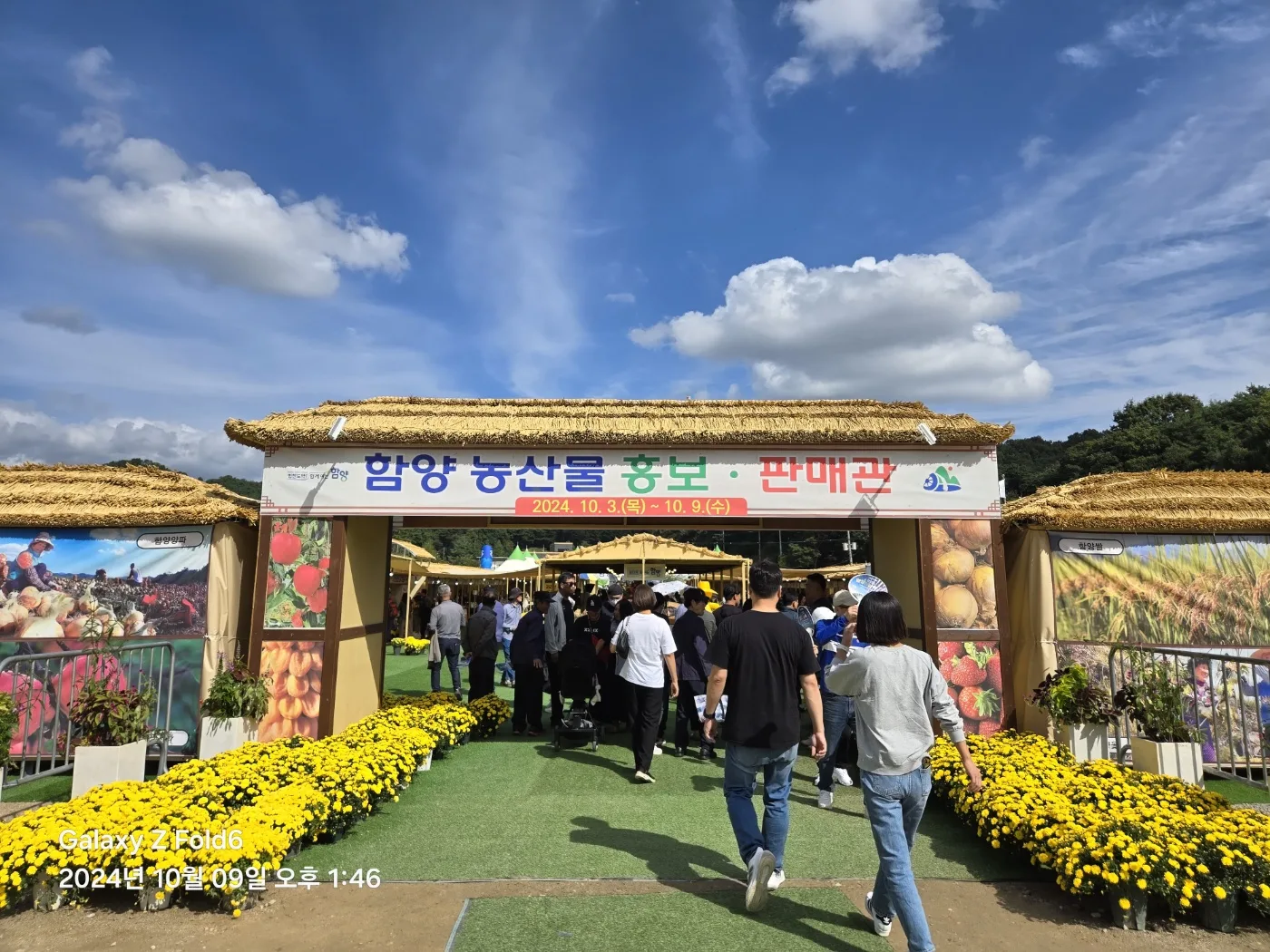 초가 대형 출입문(게이트)